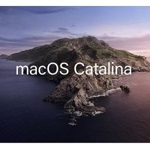 word for macos catalina free download